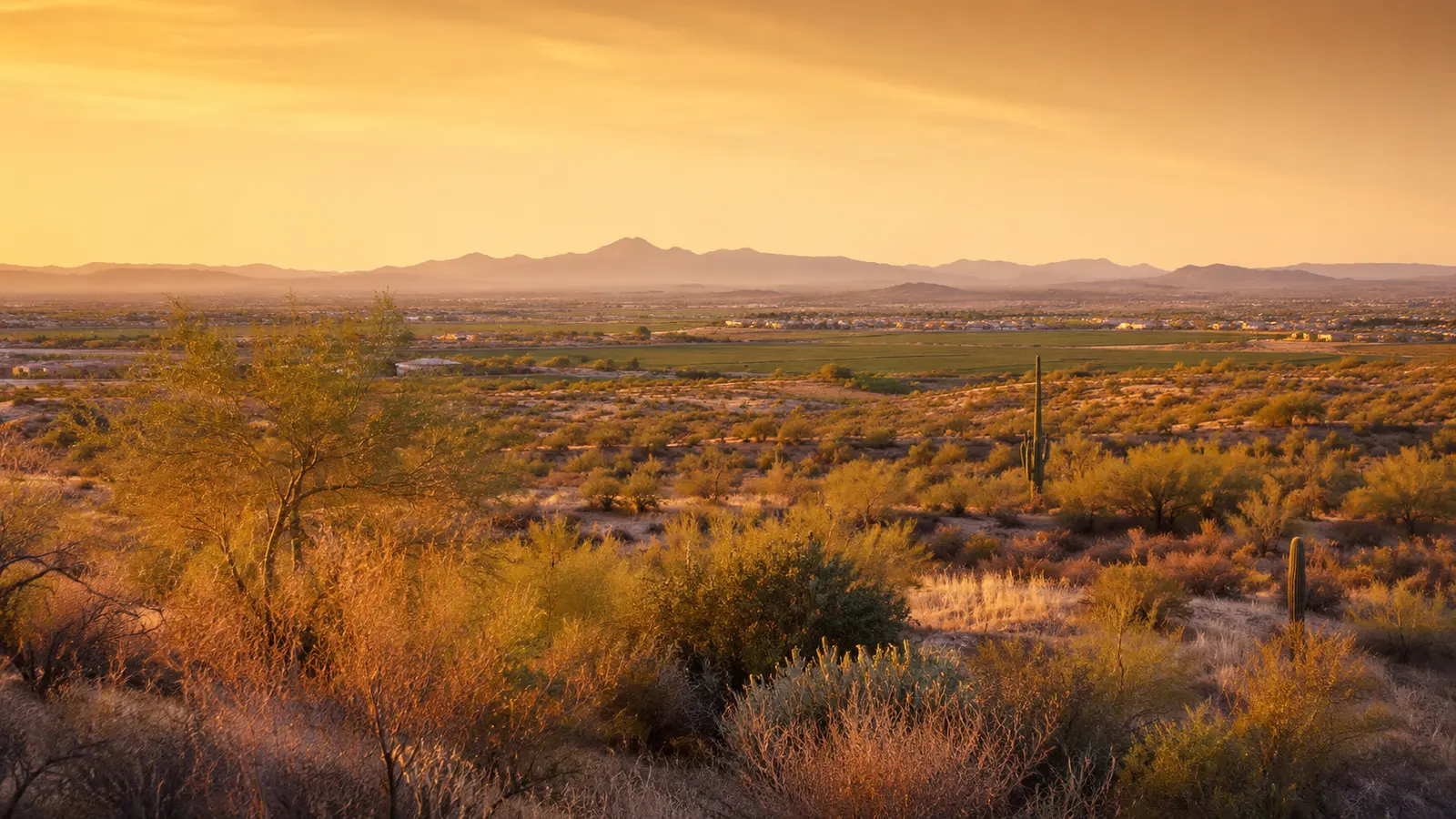 Buckeye–inspired Arizona streetscape used as a visit-planning image