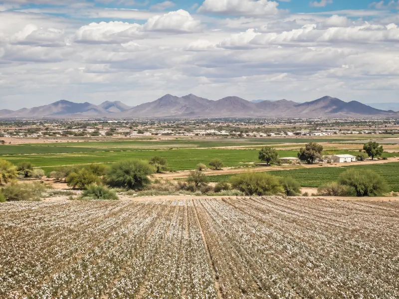 Casa Grande area atmosphere for the Downtown Phoenix salon guide