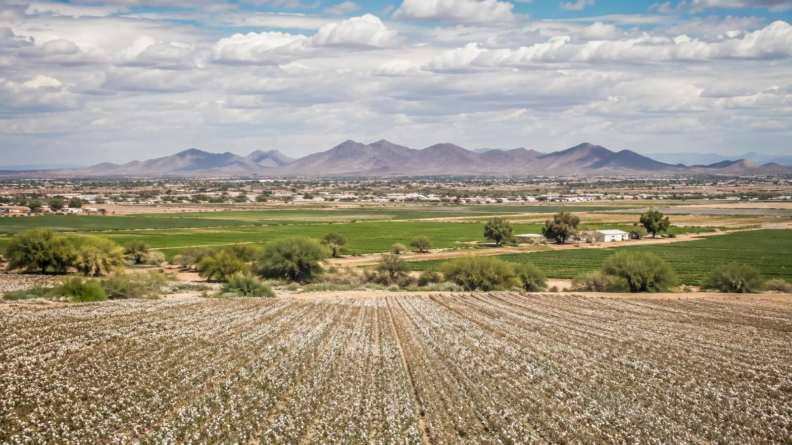 Casa Grande–inspired Arizona streetscape used as a visit-planning image