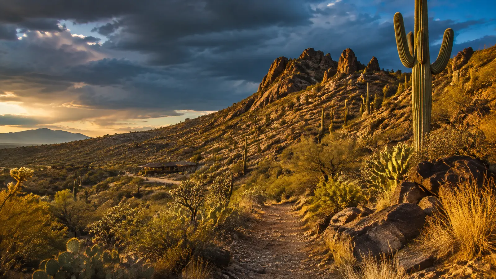 Cave Creek–inspired Arizona streetscape used as a visit-planning image