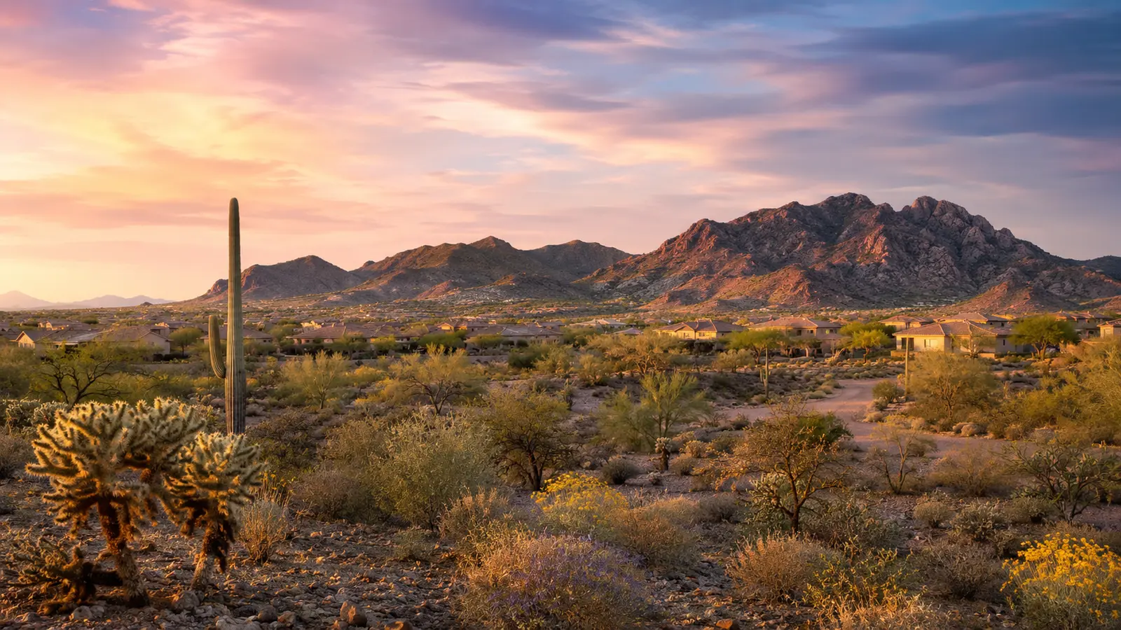 Estrella Village–inspired Arizona streetscape used as a visit-planning image