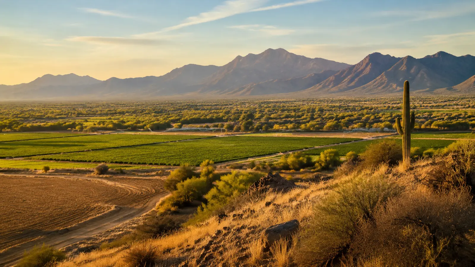 Queen Creek–inspired Arizona streetscape used as a visit-planning image