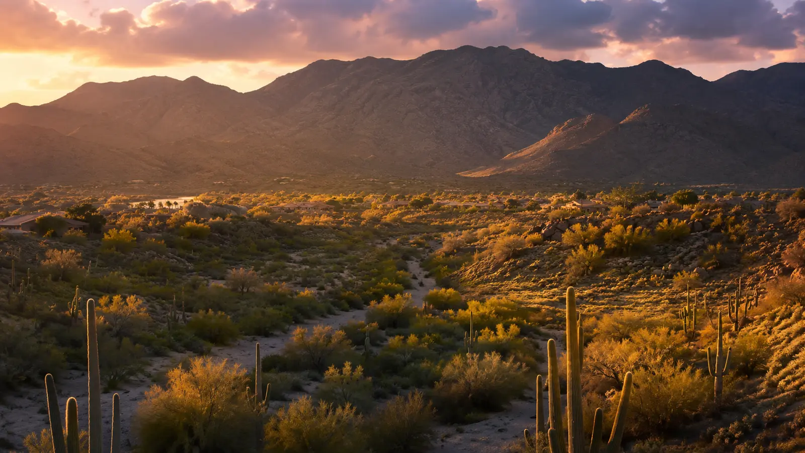 South Mountain Village–inspired Arizona streetscape used as a visit-planning image