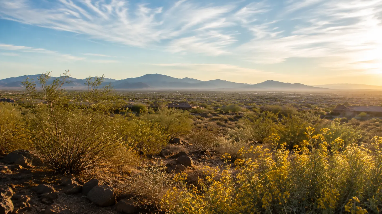 Surprise–inspired Arizona streetscape used as a visit-planning image