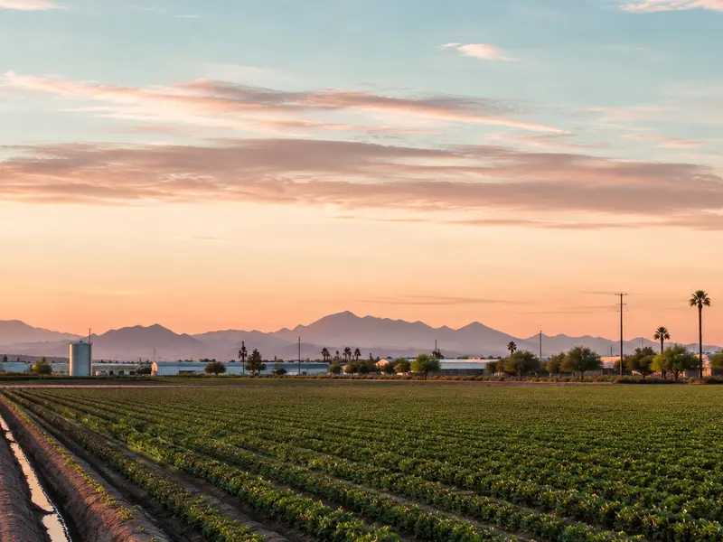 Tolleson area atmosphere for the Downtown Phoenix salon guide