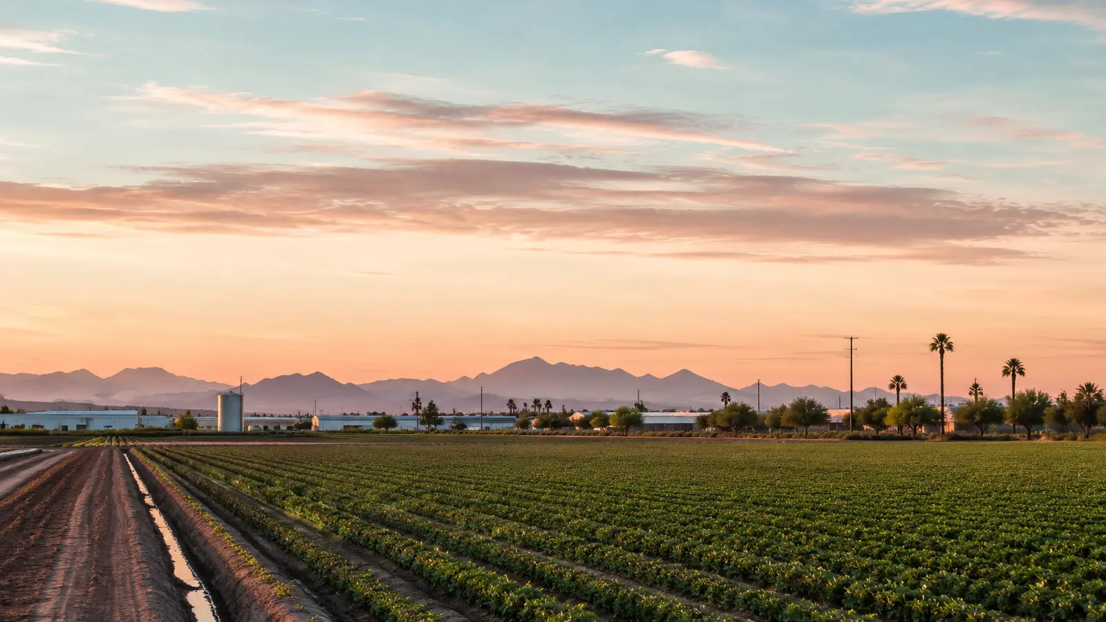 Tolleson–inspired Arizona streetscape used as a visit-planning image