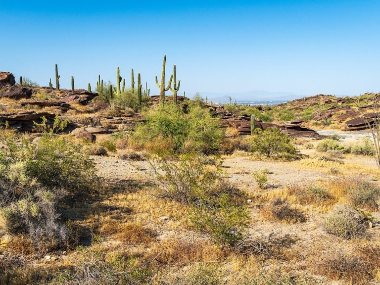 South Mountain Village